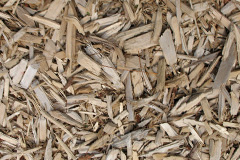 biomass boilers Trefecca