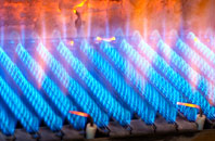 Trefecca gas fired boilers